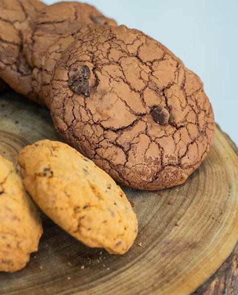 imgi 100 2ce5e1 d0dcb117cdee4c7a95e250fa06a81c06~mv2