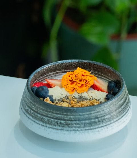 imgi 34 2ce5e1 ea3c971759ae4c0892e921a061e92bd8~mv2