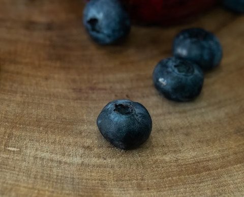 imgi 38 2ce5e1 d3072f31d574493191b573d2315c1c45~mv2